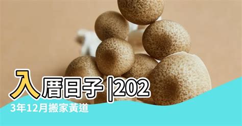 2023入宅安床吉日吉時|選日子（黃道吉日查詢）